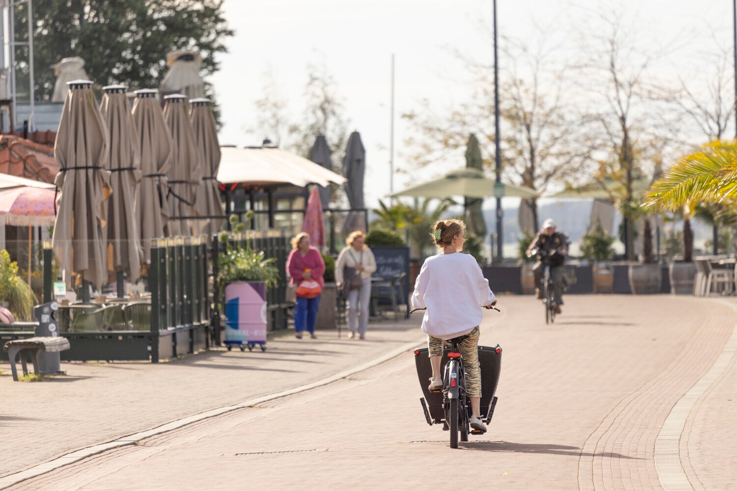 Elektrische bakfiets van dichtbij