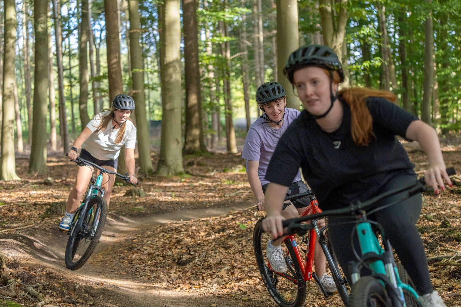 Drie mountainbikers op een bospad op de Veluwe