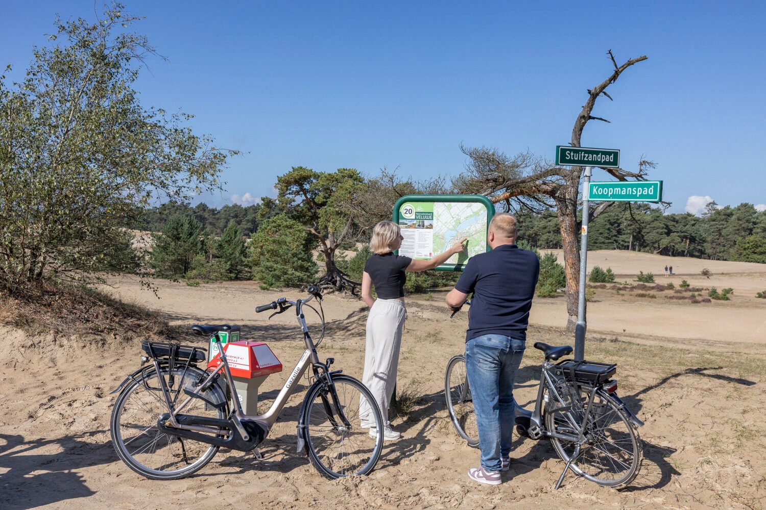 Knotenpunktschild auf der Veluwe