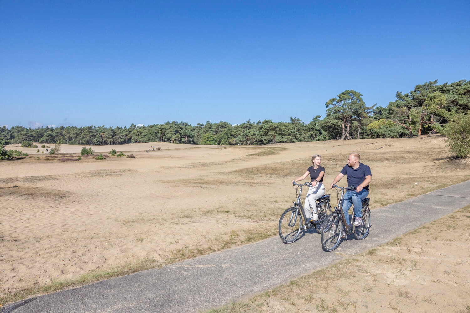 Paar auf E-Bikes auf einem Radweg durch das Beekhuizerzand