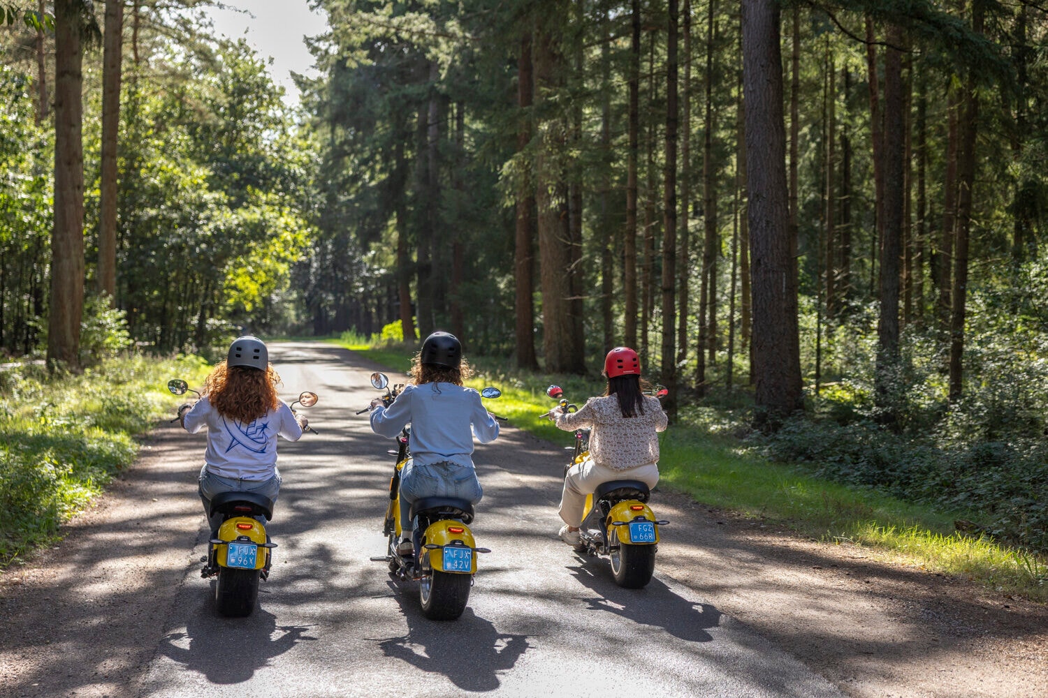 Drie e-choppers rijden weg over een bospad