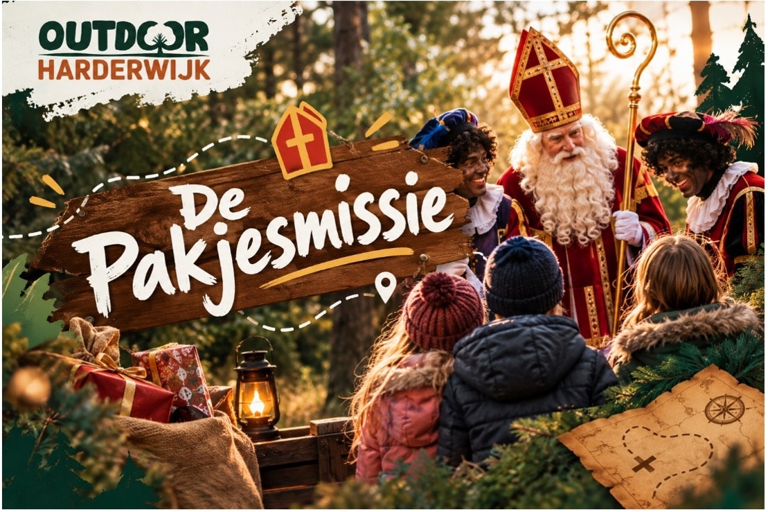 Het grote sinterklaasfeest
