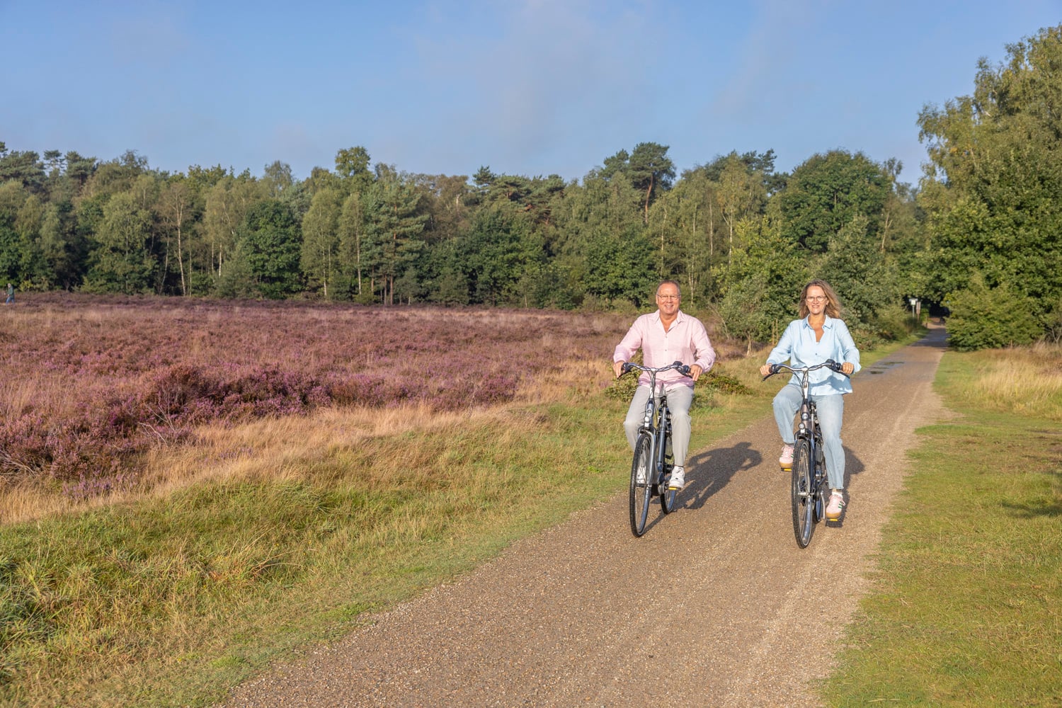 Fietsers op een fietspad langs de heide op de Veluwe bij Harderwijk