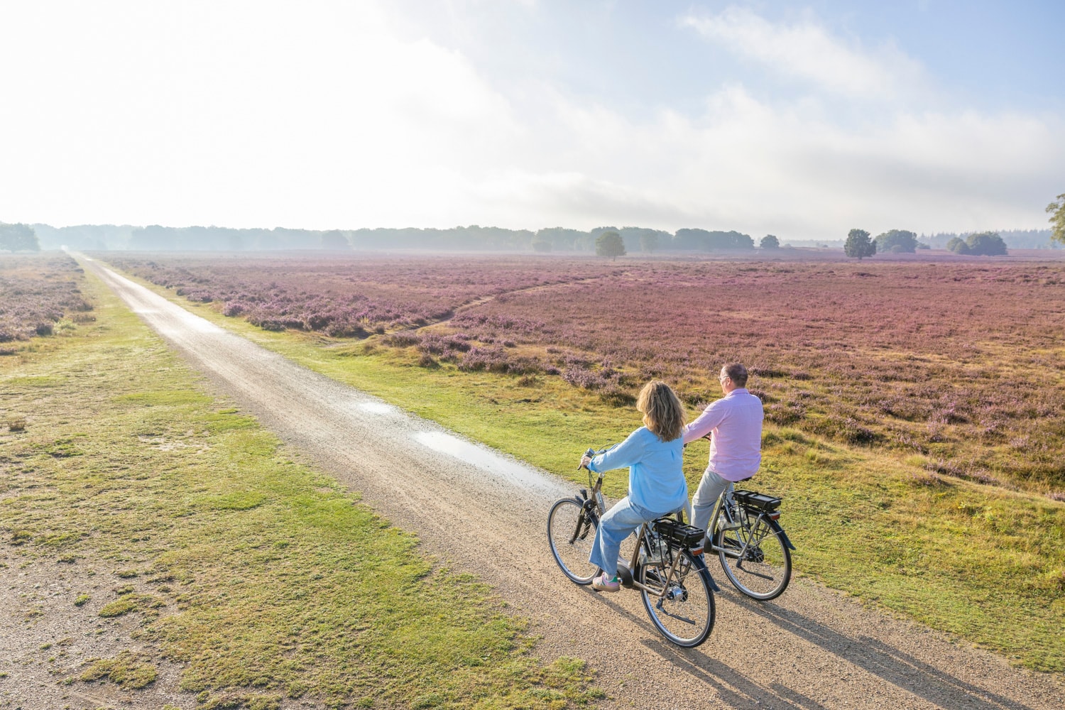 Fietsers op e-bikes over de Ermelosche Heide