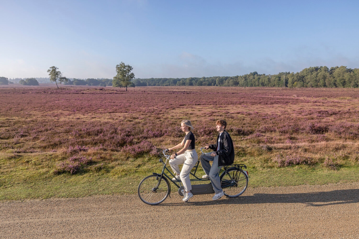 Twee mensen op een tandem over de heide