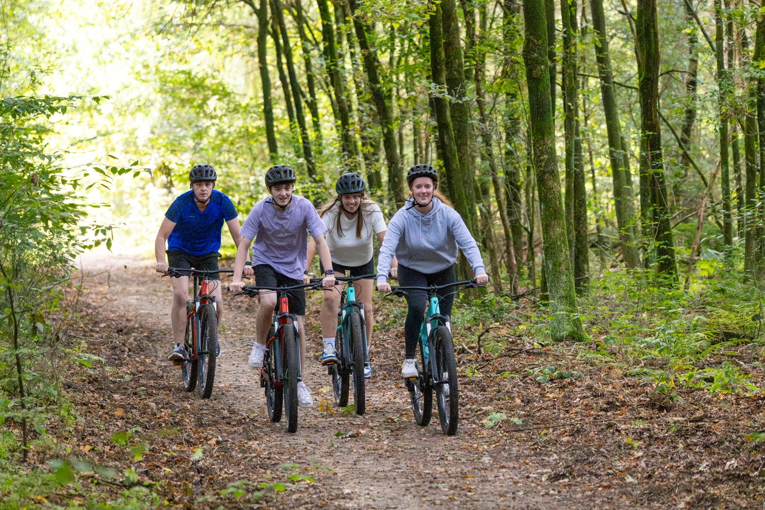 Group of friends on MTB-route Ermelo
