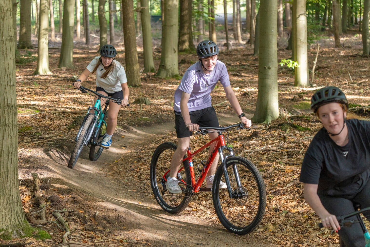 Mountainbiker auf dem Mountainbike-Parcours von Harderwijk auf der Veluwe