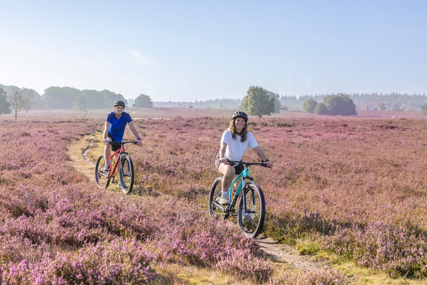 Mountain bikers on the MTB-route Ermelo across the heath