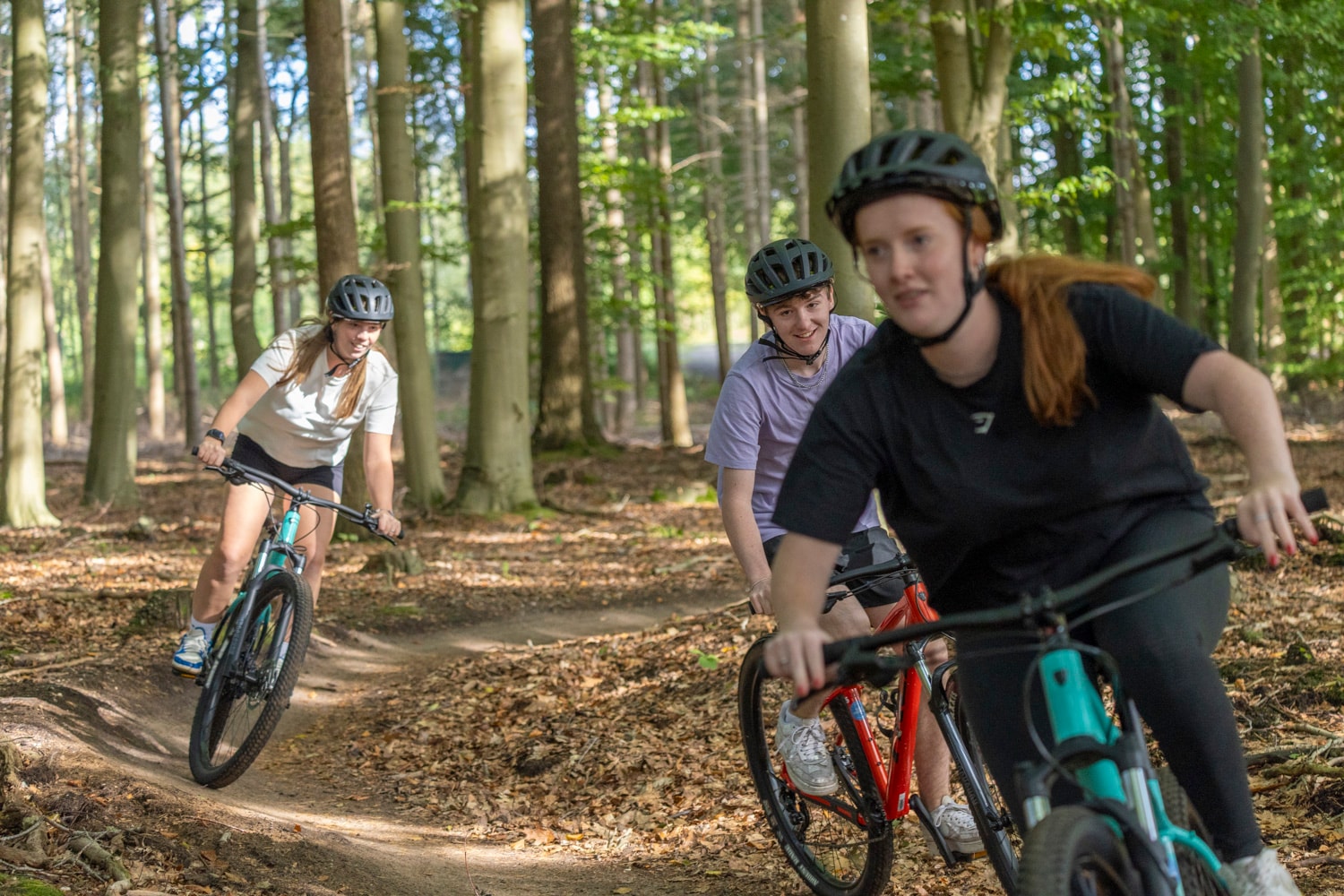 Mountainbiker auf der MTB-route Harderwijk auf der Veluwe