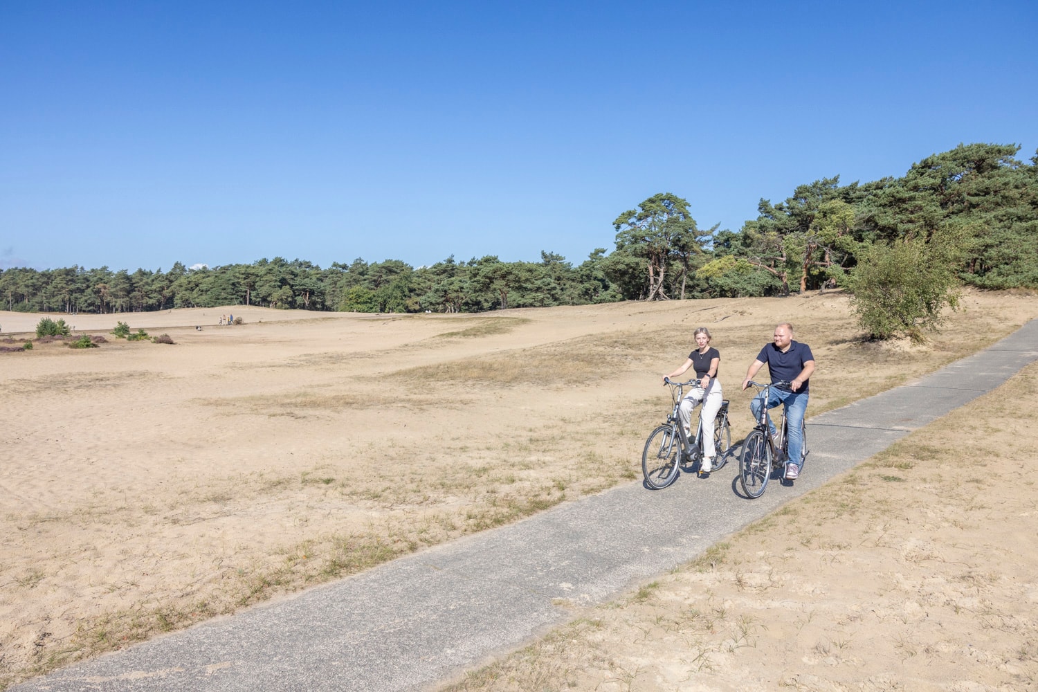 Een stel fietst op elektrische fietsen langs het Beekhuizerzand op de Veluwe