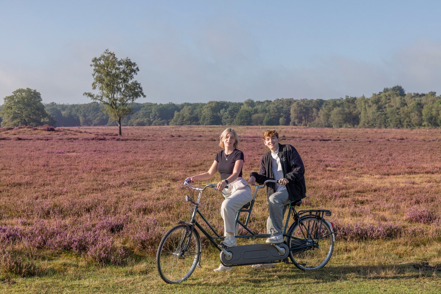 Frau und Mann auf einem Tandem auf der Veluwe bei Harderwijk