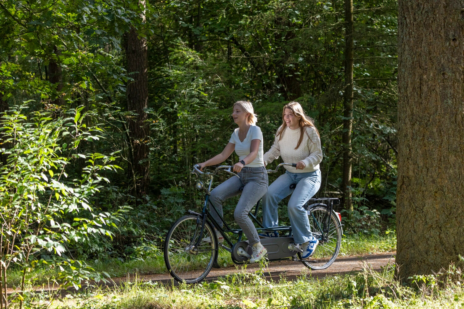 Tandem van dichtbij