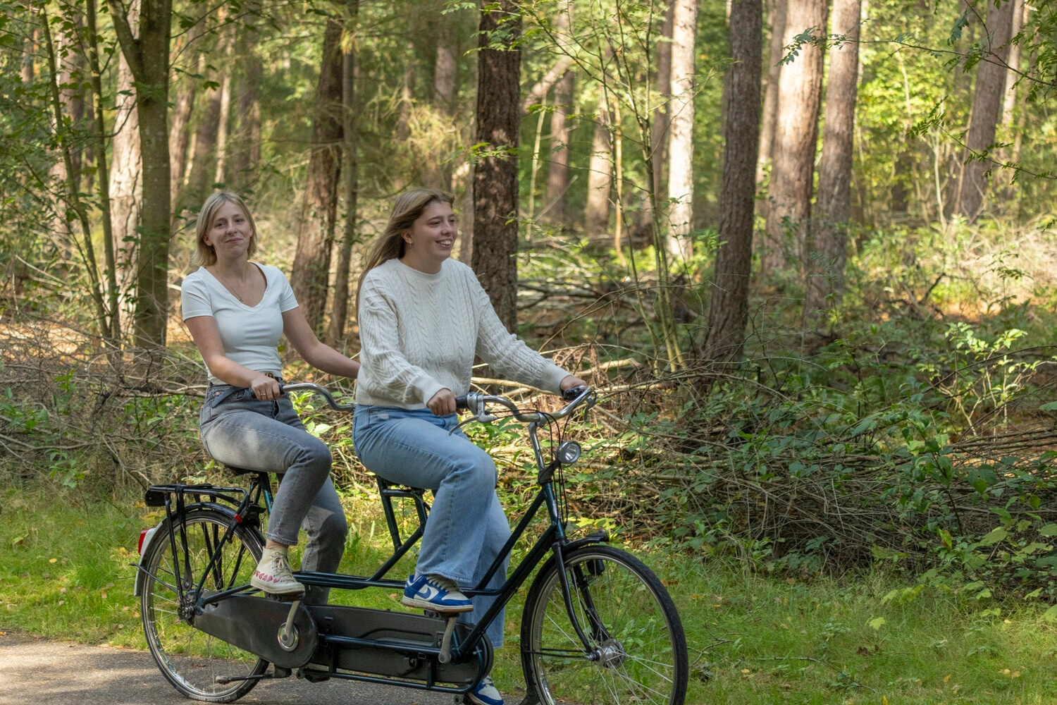 Paar auf einem Tandem zwischen den Bäumen