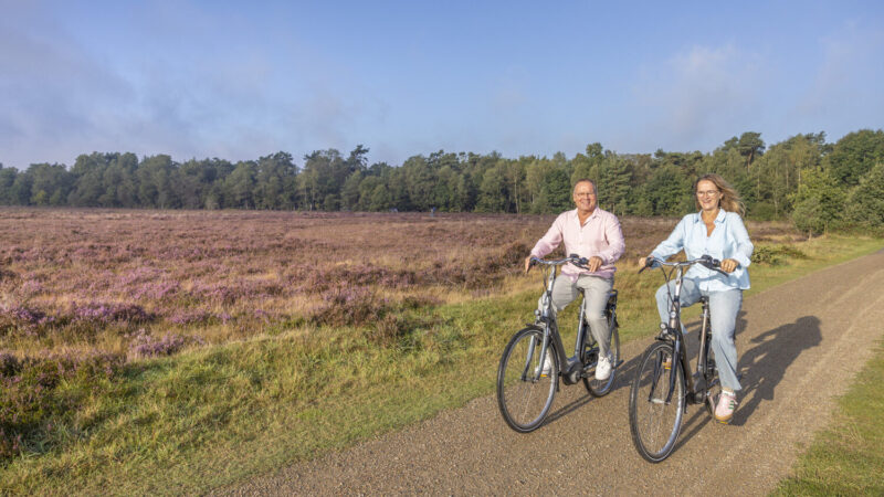 Twee volwassenen op elektrische fietsen bij bloeiende heide op de Veluwe