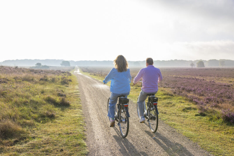 elektrische fietsen grid afbeelding