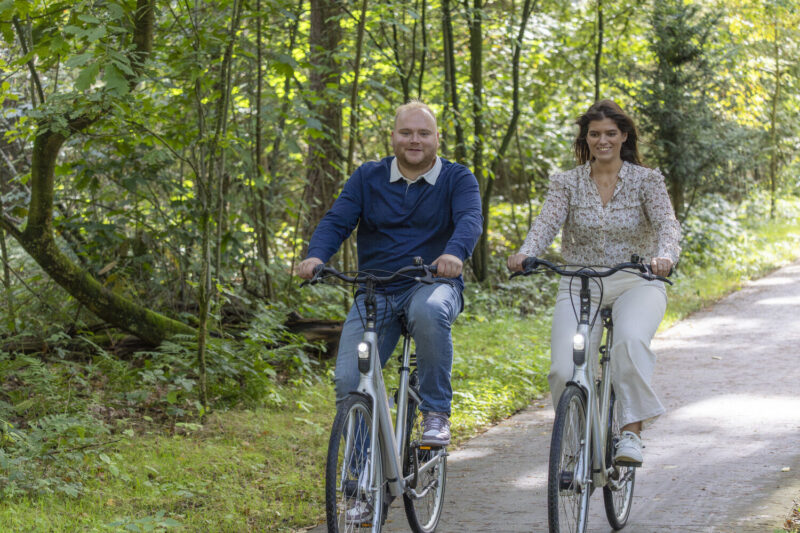 fiets grid afbeelding