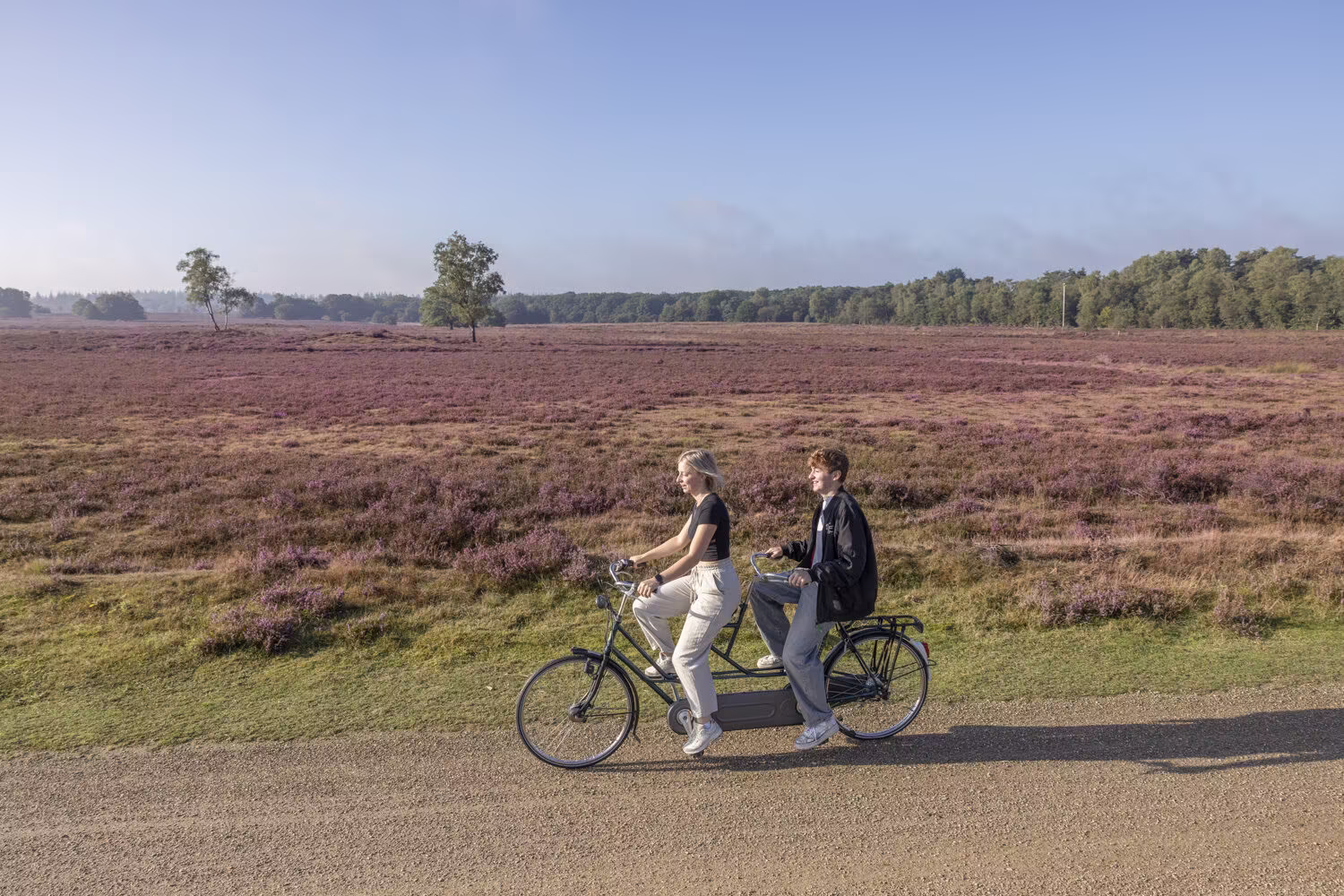 galerij tandems afbeelding 6