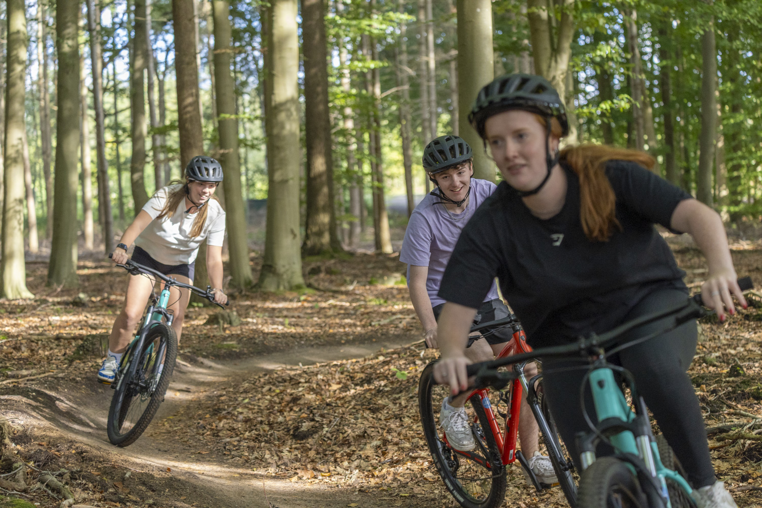 Mountainbikers op de MTB-route Harderwijk in de Veluwse bossen