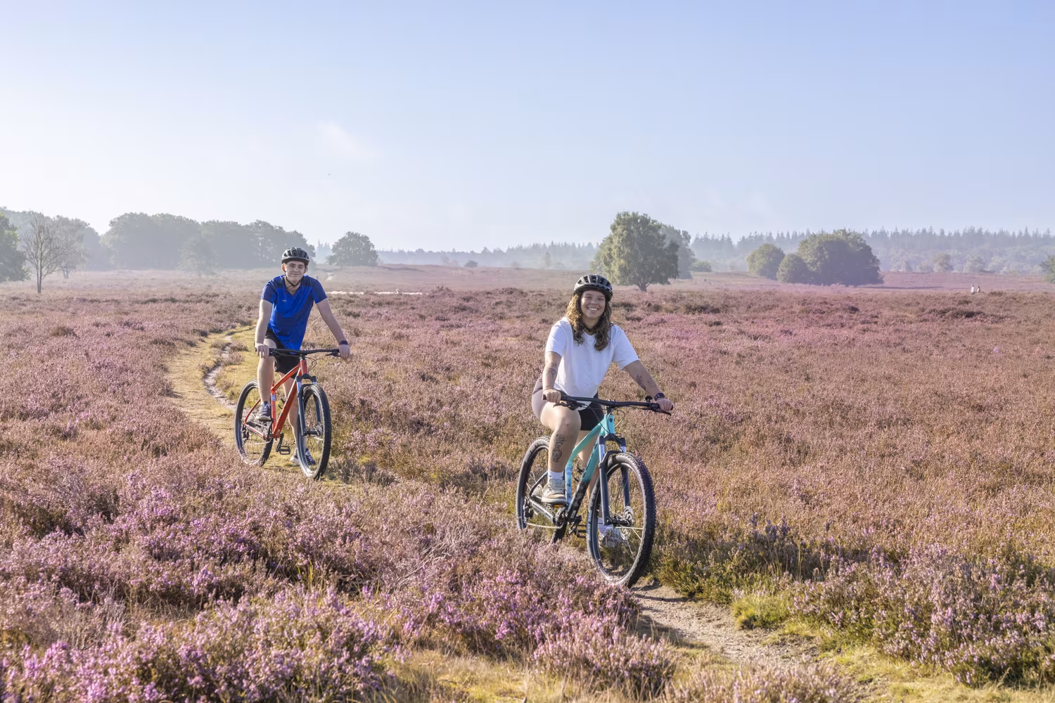 Mountainbikers op singletrack door paarse bloeiende heide bij MTB-route Ermelo op de Veluwe