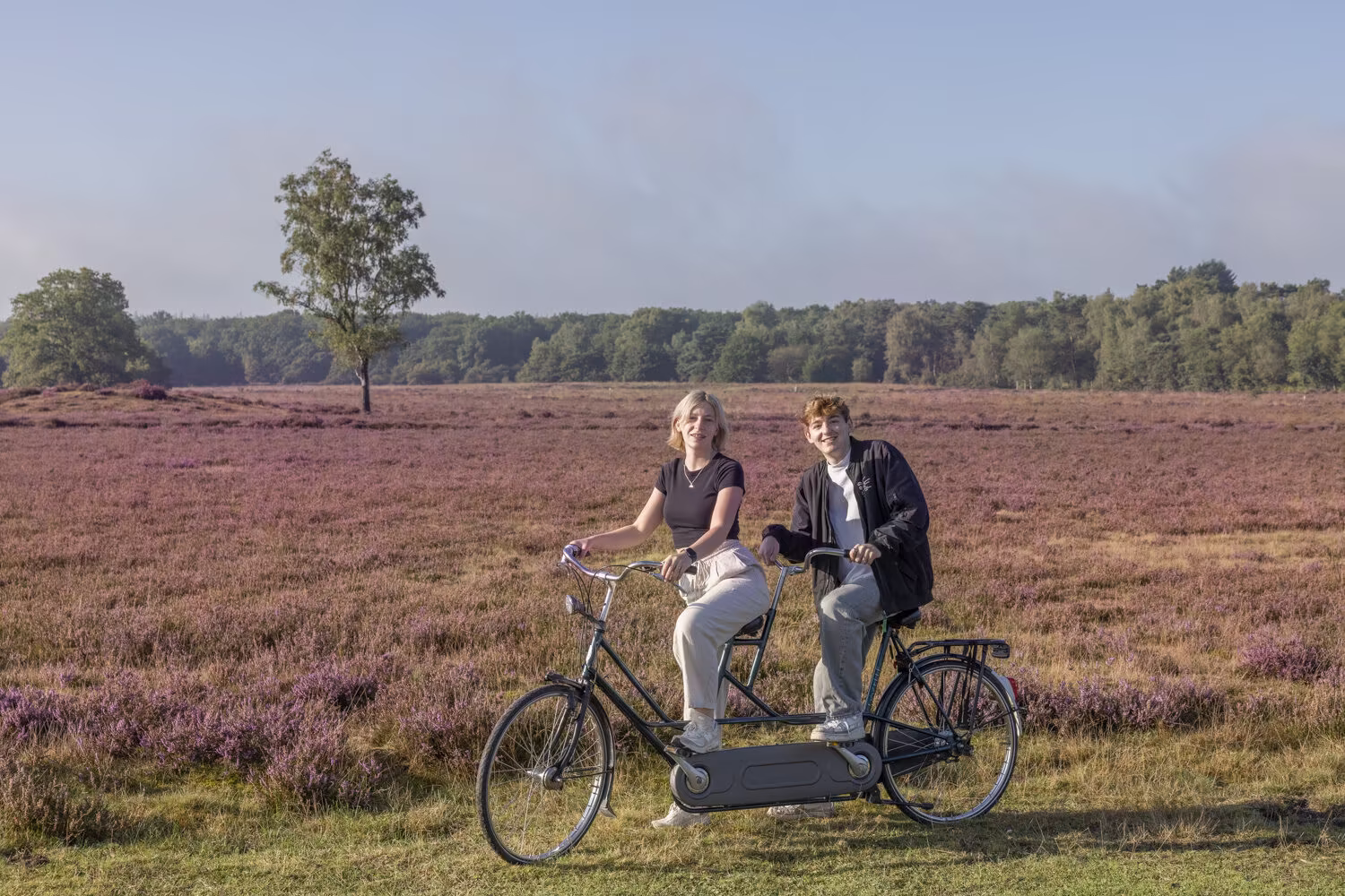 vrouw en man op tandem met bloeiende heide op de achtergrond in Veluwe Harderwijk